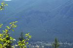 100_3775.jpg