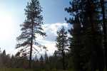 100_2595.JPG