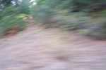 100_2653.JPG