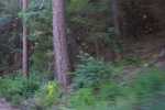 100_2660.JPG
