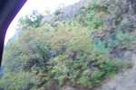 100_2664.JPG